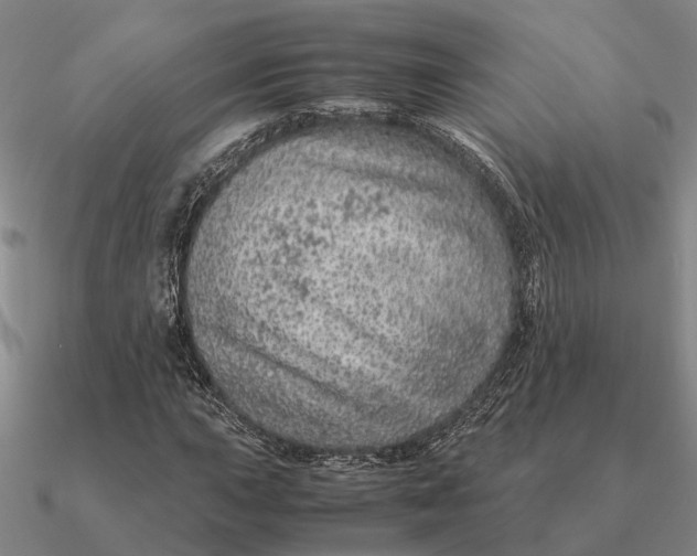 X0000090601015200708071138