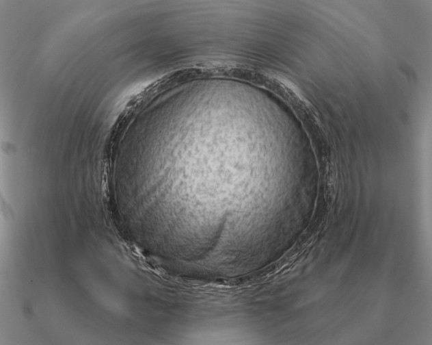 X0000090601016200708071138