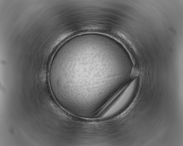 X0000090601017200708071138