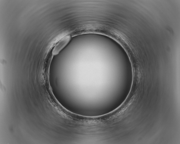 X0000090601018200708071138