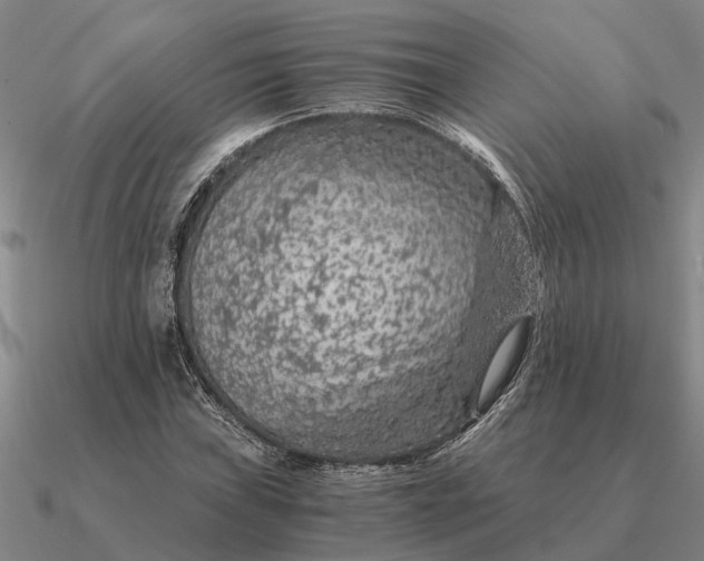 X0000090601019200708071138