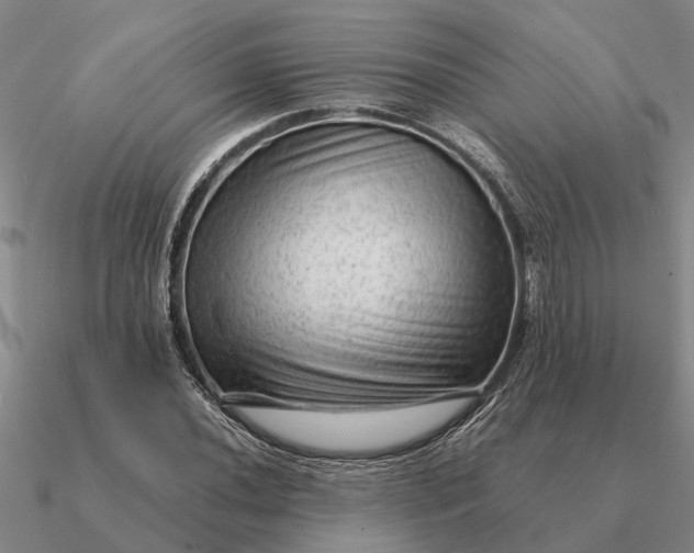 X0000090601020200708071138