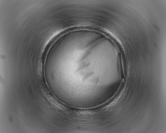 X0000090601021200708071138