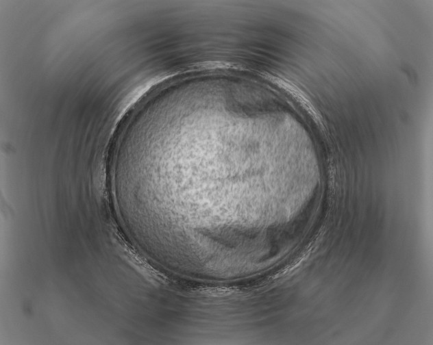 X0000090601023200708071138