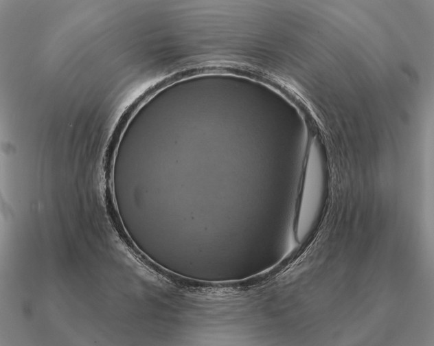 X0000090601024200708071138