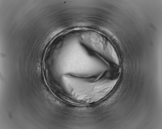 X0000090601025200708071138