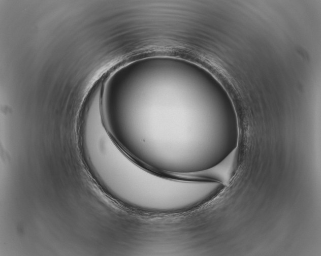 X0000090601026200708071138