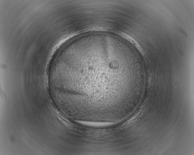 X0000090601027200708071138