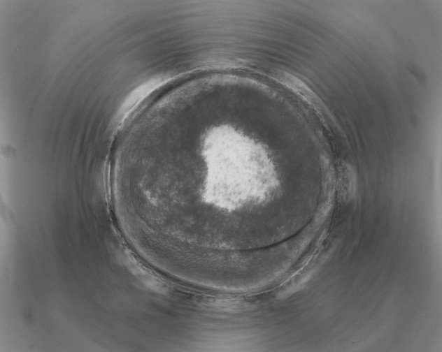 X0000090601030200708071138