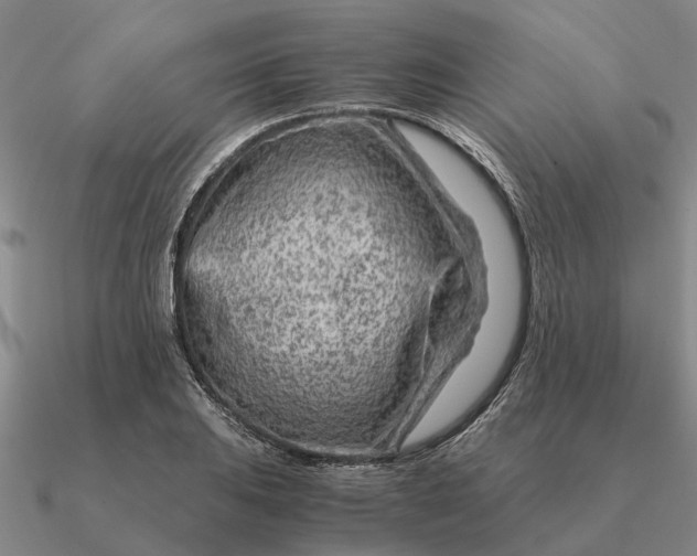 X0000090601031200708071138