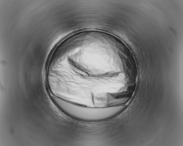 X0000090601032200708071138