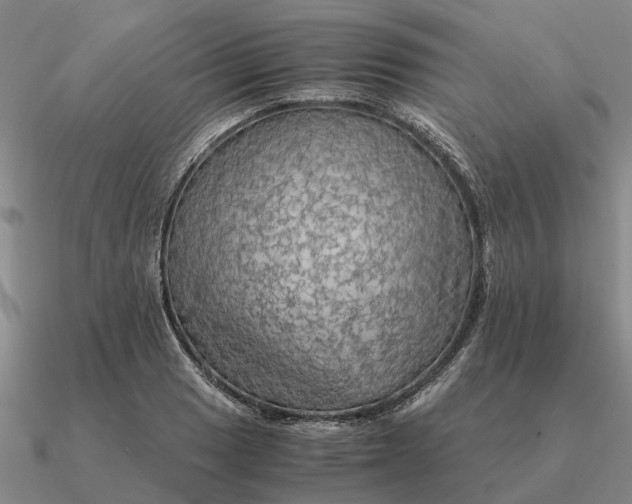 X0000090601033200708071138