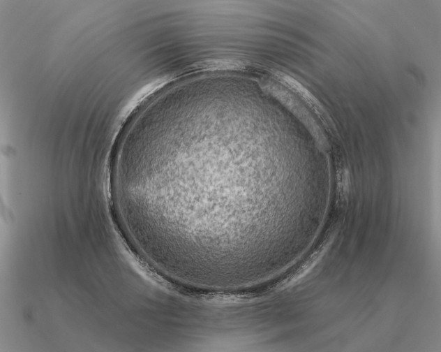 X0000090601034200708071138