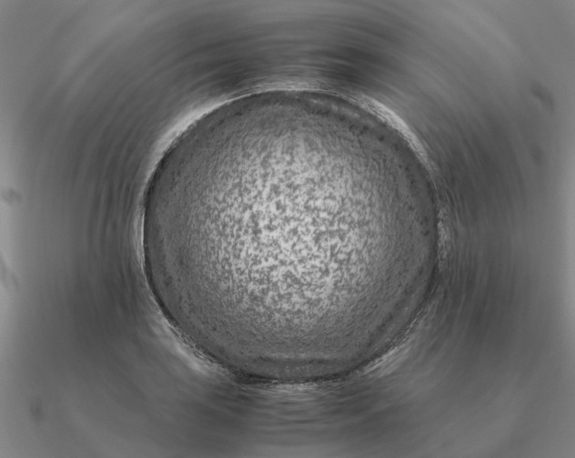 X0000090601035200708071138