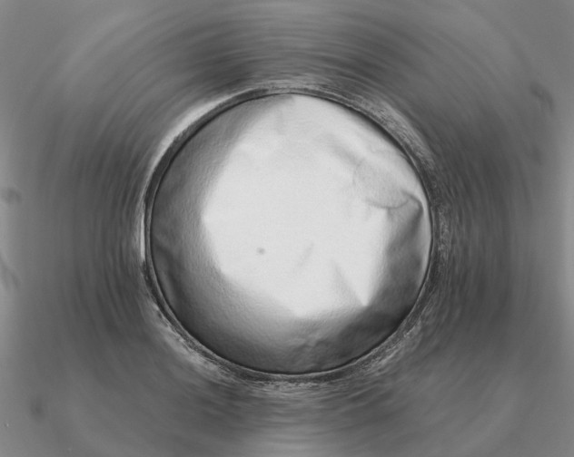 X0000090601036200708071138