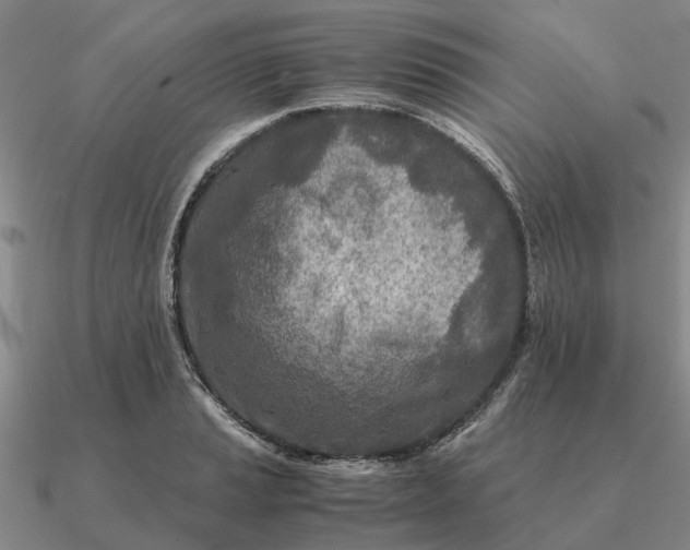 X0000090601037200708071138