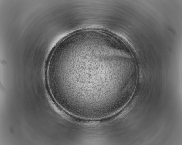 X0000090601038200708071138