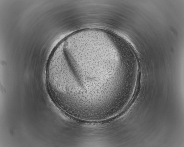 X0000090601040200708071138