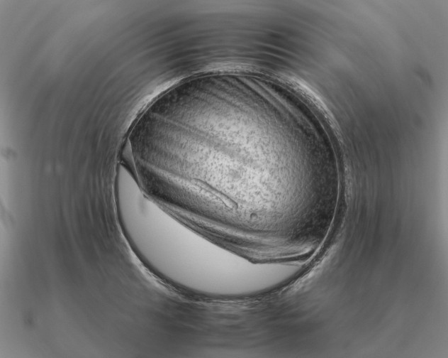 X0000090601041200708071138