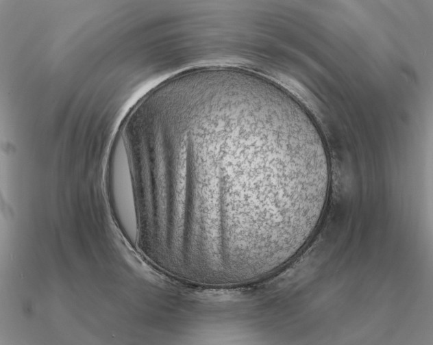 X0000090601044200708071138