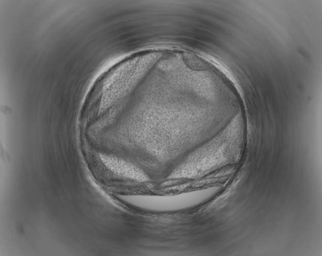 X0000090601045200708071138