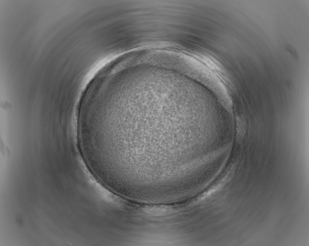 X0000090601046200708071138