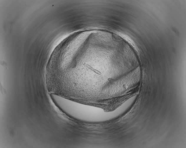 X0000090601047200708071138