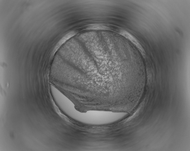 X0000090601049200708071138