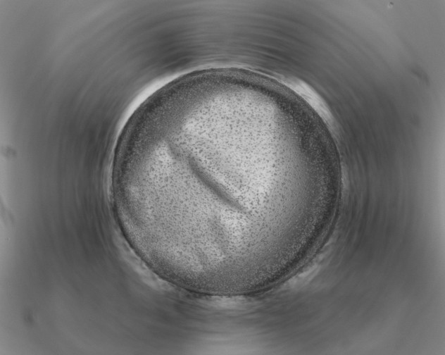 X0000090601052200708071138