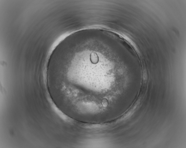 X0000090601054200708071138