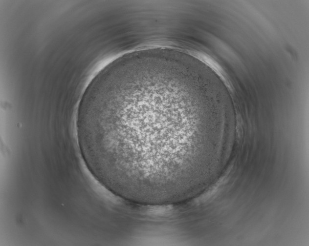 X0000090601055200708071138