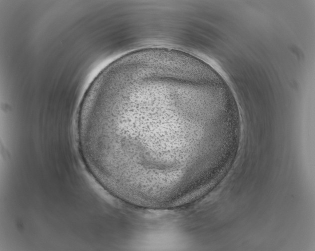 X0000090601056200708071138