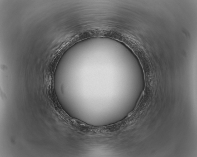 X0000090601061200708071138