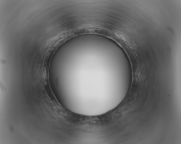 X0000090601062200708071138