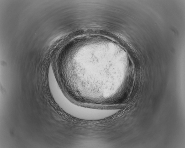 X0000090601063200708071138