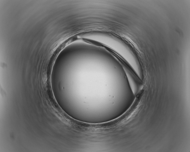 X0000090601065200708071138