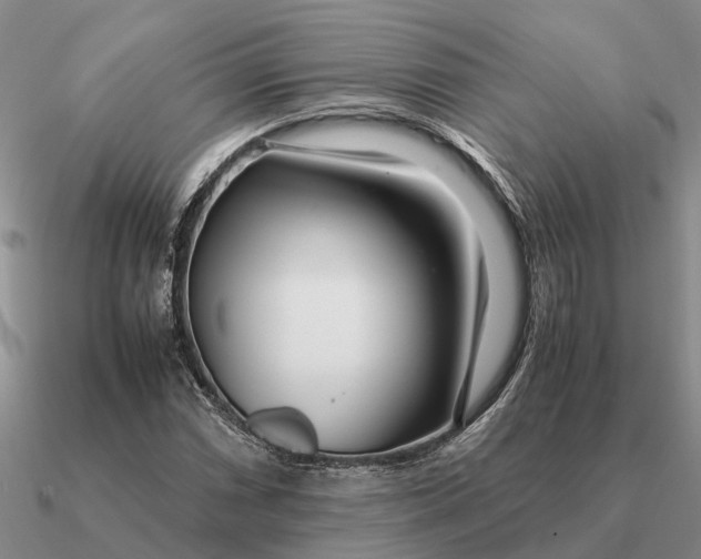 X0000090601066200708071138