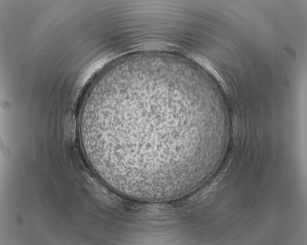 X0000090601067200708071138