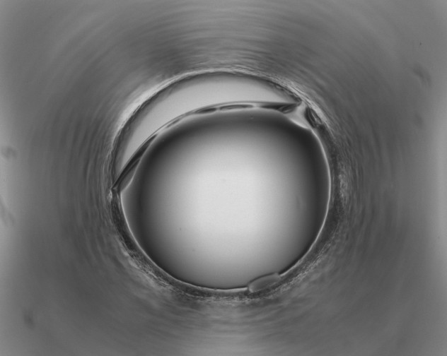 X0000090601069200708071137