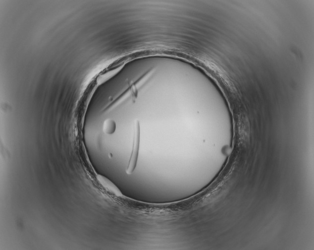 X0000090601070200708071137