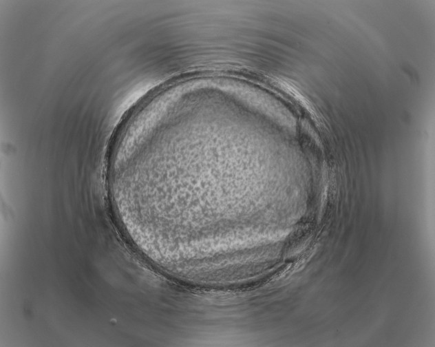 X0000090601071200708071137