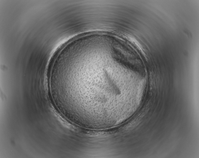 X0000090601072200708071137