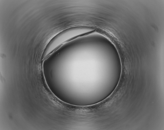 X0000090601073200708071137