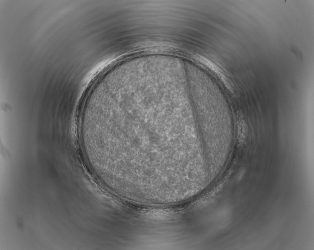 X0000090601074200708071137