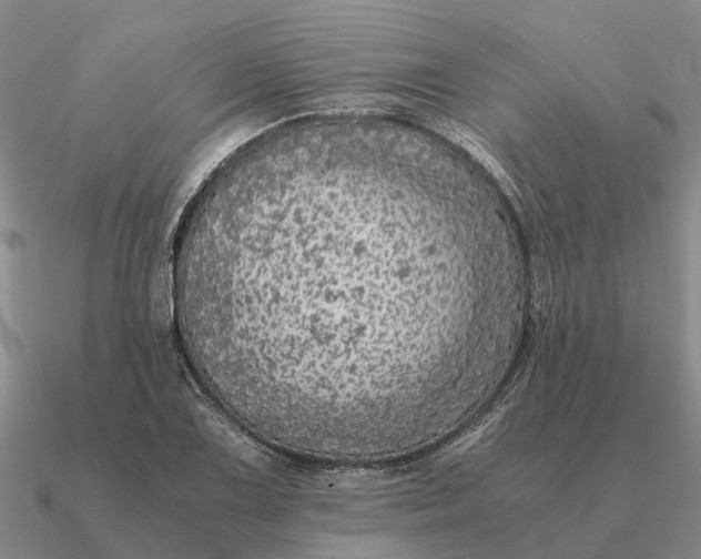 X0000090601075200708071137