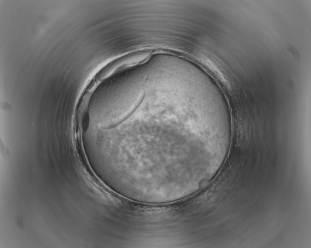 X0000090601076200708071137