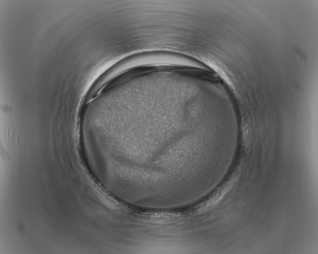 X0000090601077200708071137