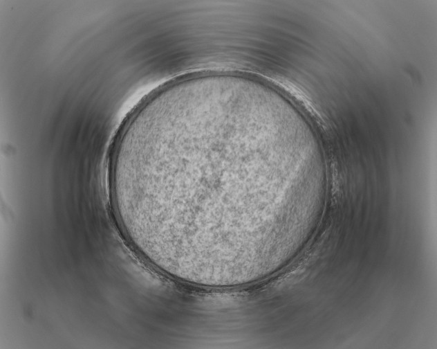 X0000090601078200708071137