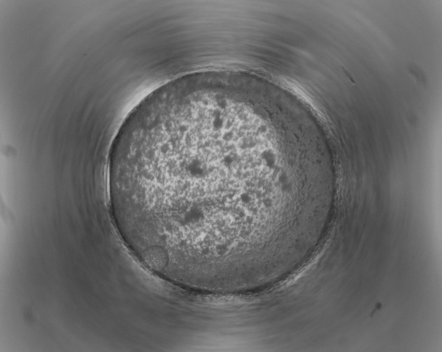 X0000090601079200708071137