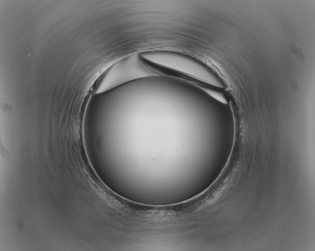 X0000090601081200708071137